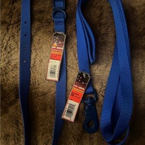 Royal Blue Dog Collar and Leash Set